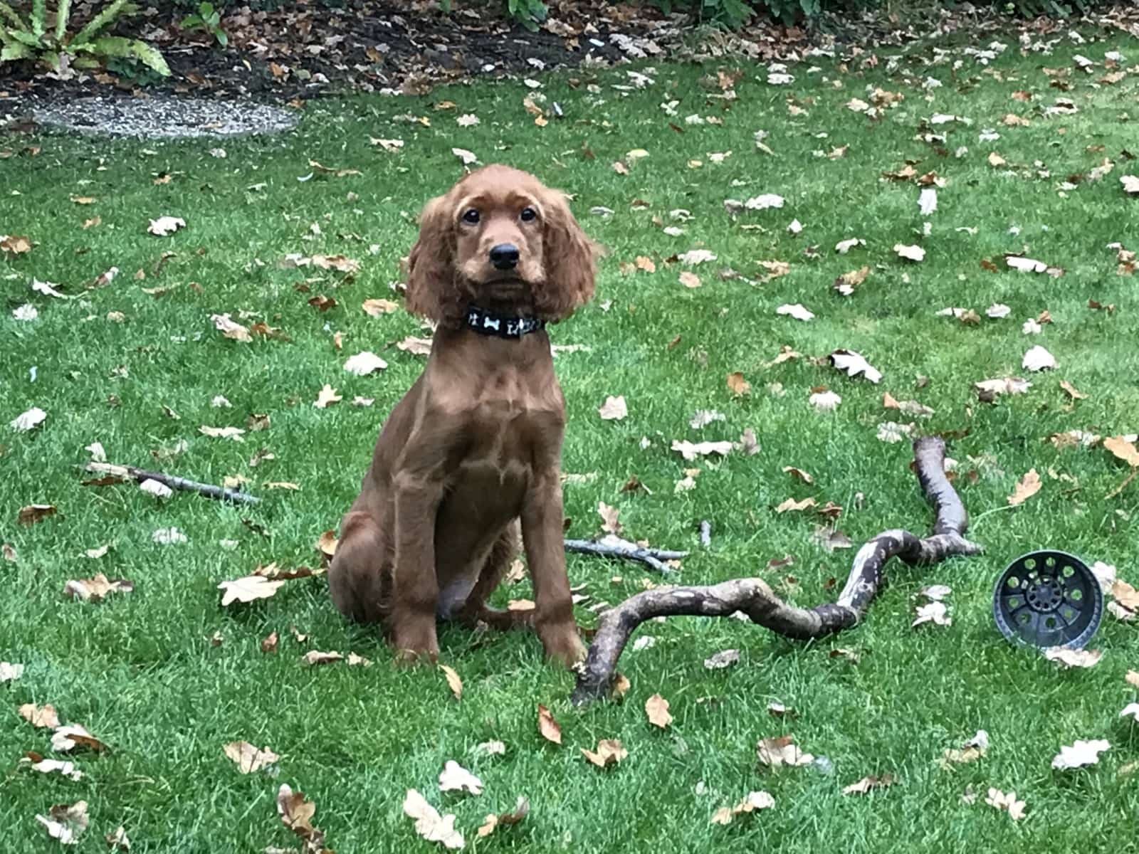 3729dee08d5d8f5b9e17864e69ac0af4f2cff6