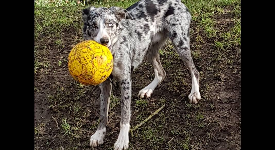 4_0_371500533_resized_3_1