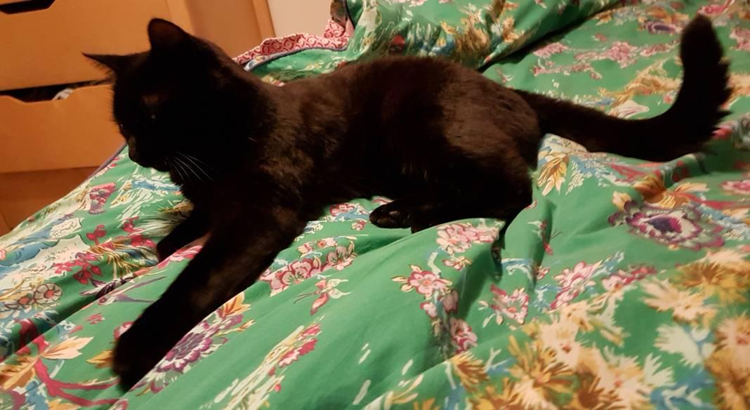 4_18_371500533_resized_3_1