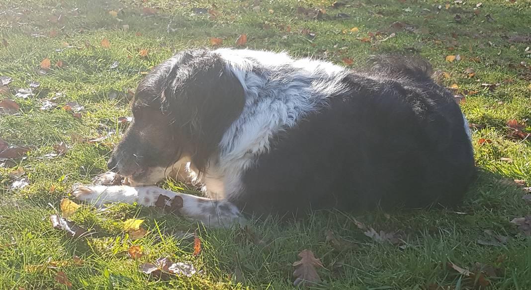 4_8_371500533_resized_3_1