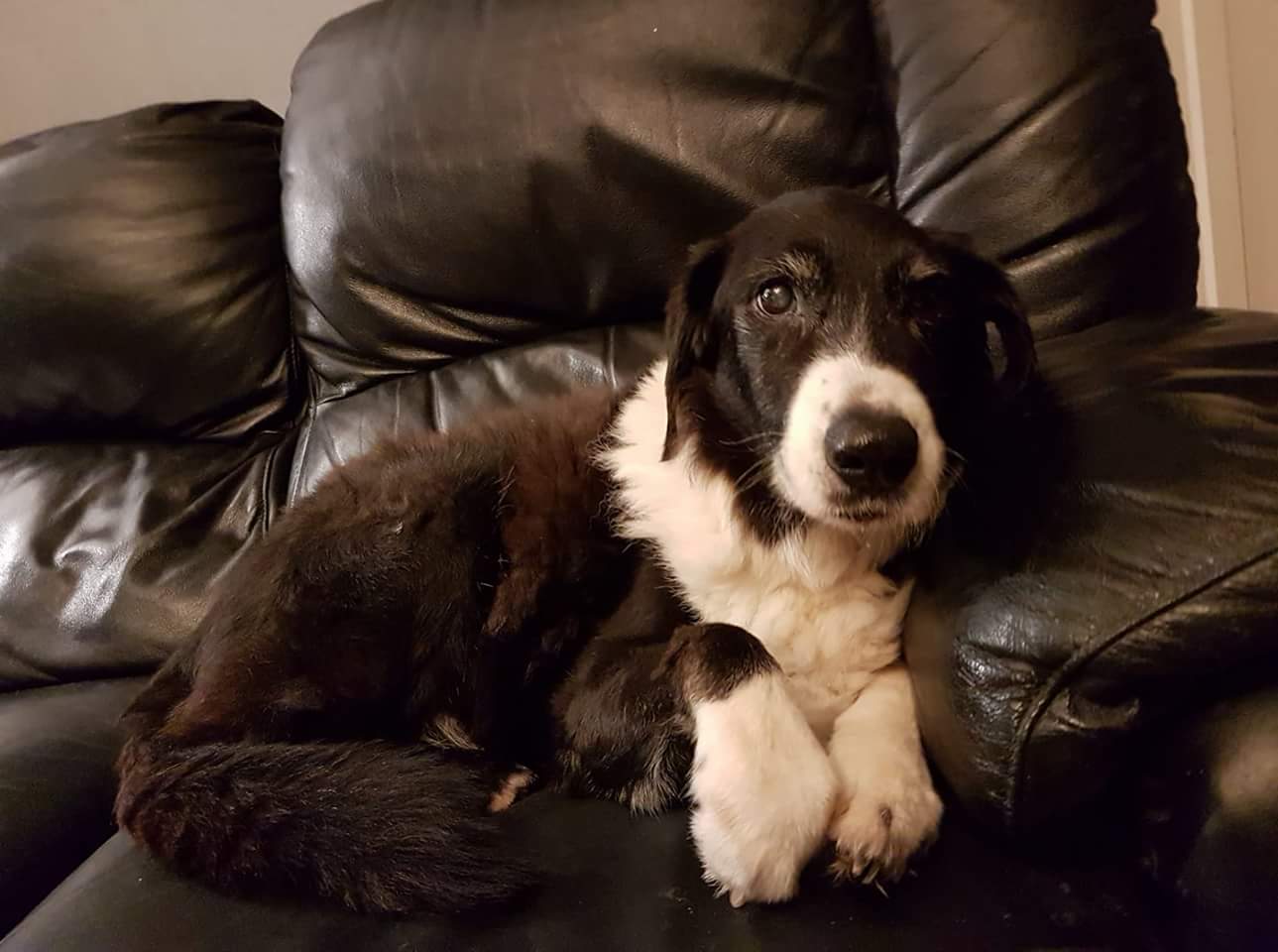 FB_IMG_1519250924418