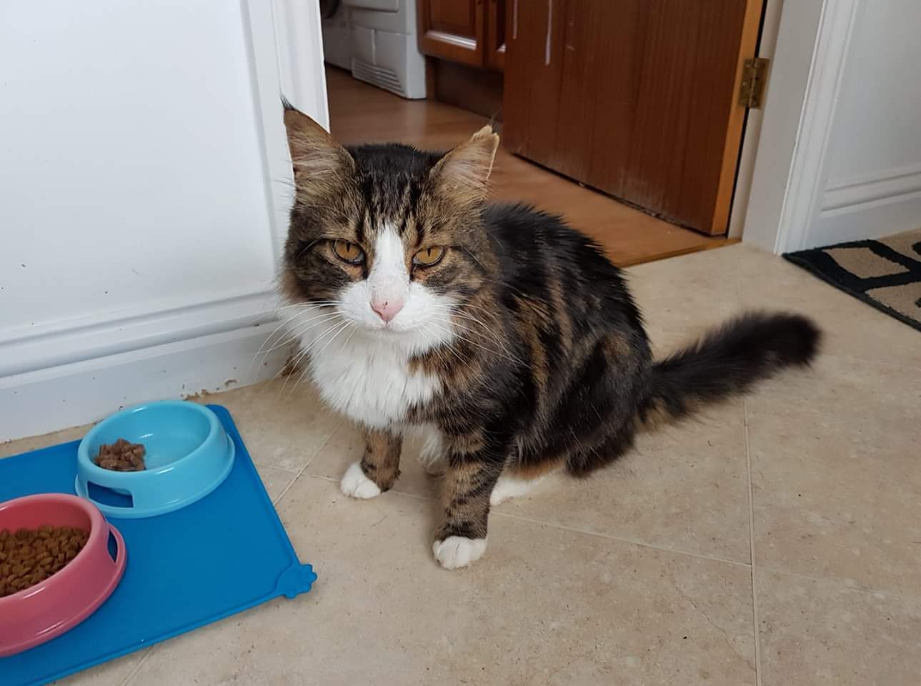 FB_IMG_1522211245483