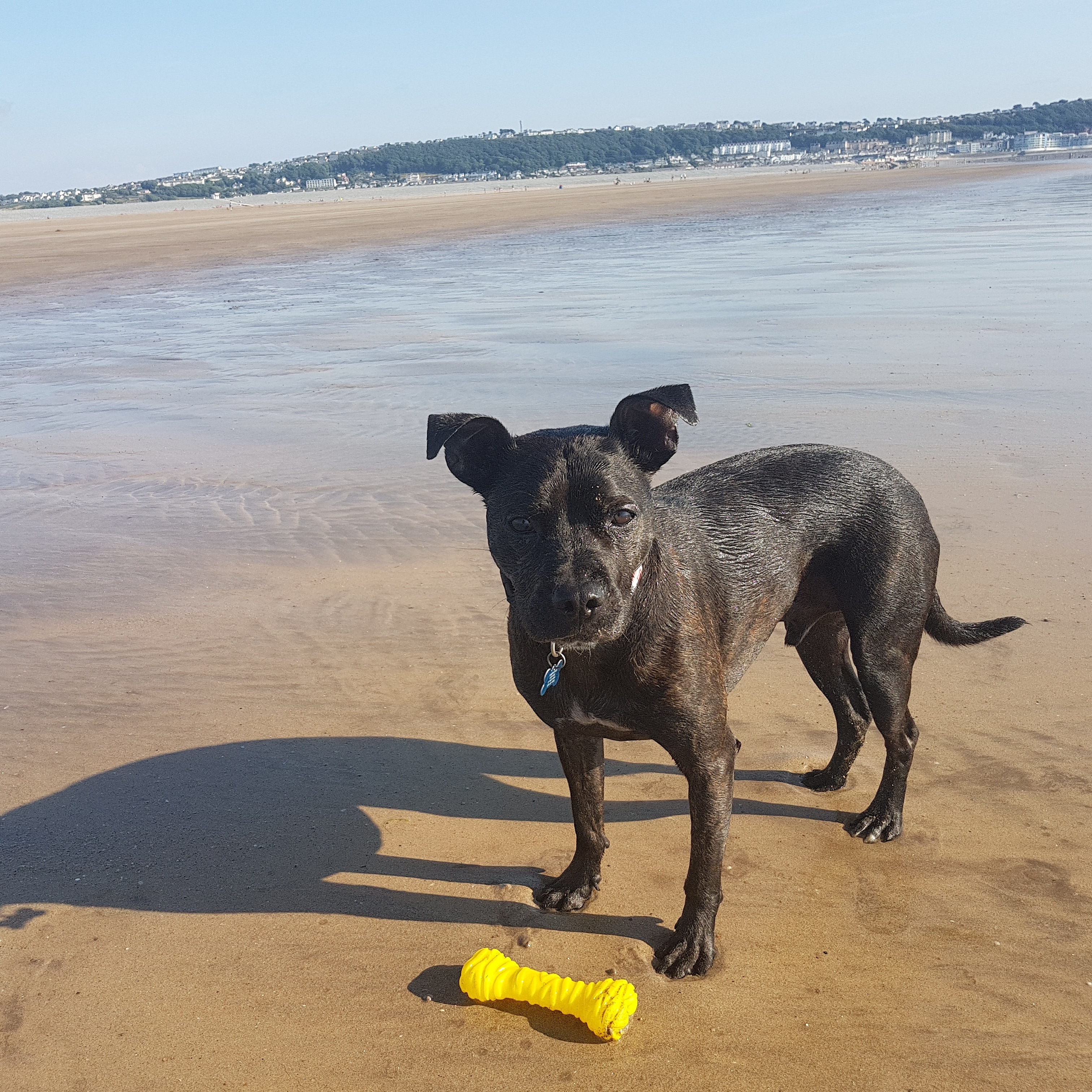 IMG_20180706_182312_795