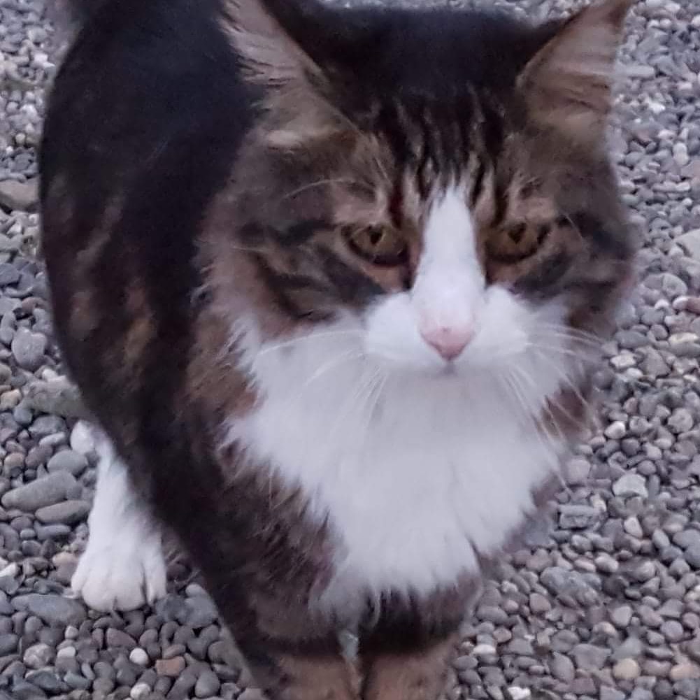 IMG_20180709_103944_806