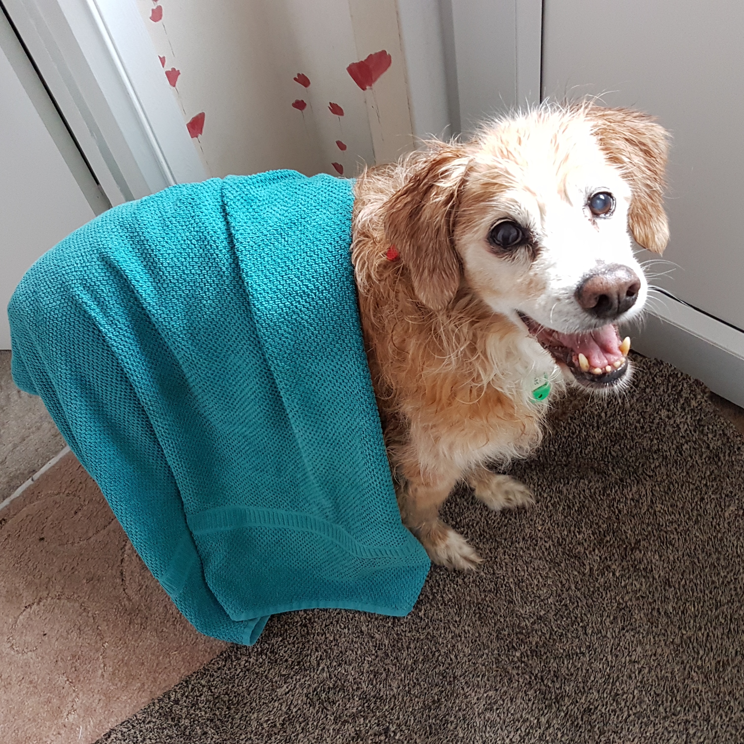 IMG_20180729_094230_627