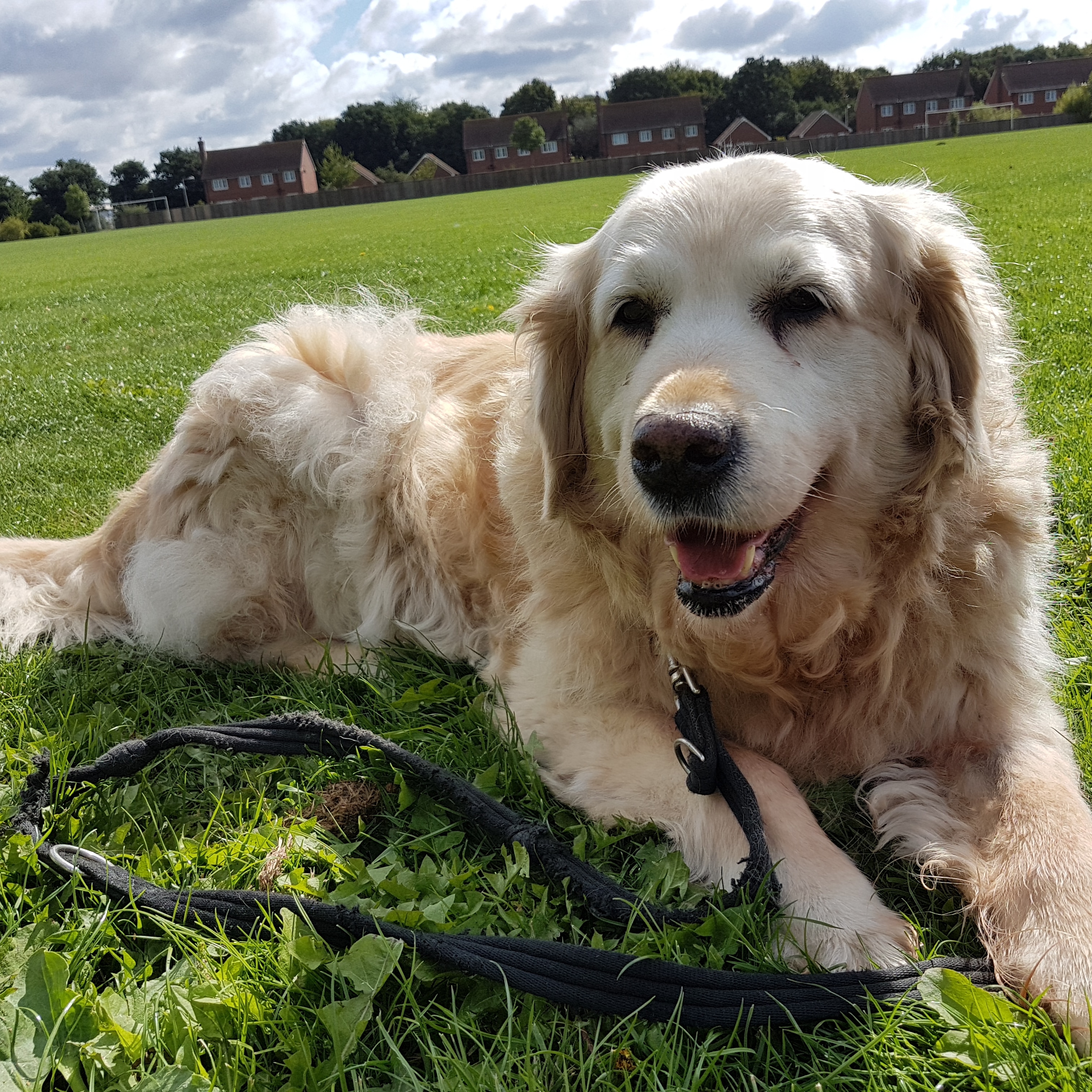 IMG_20180825_105025_772