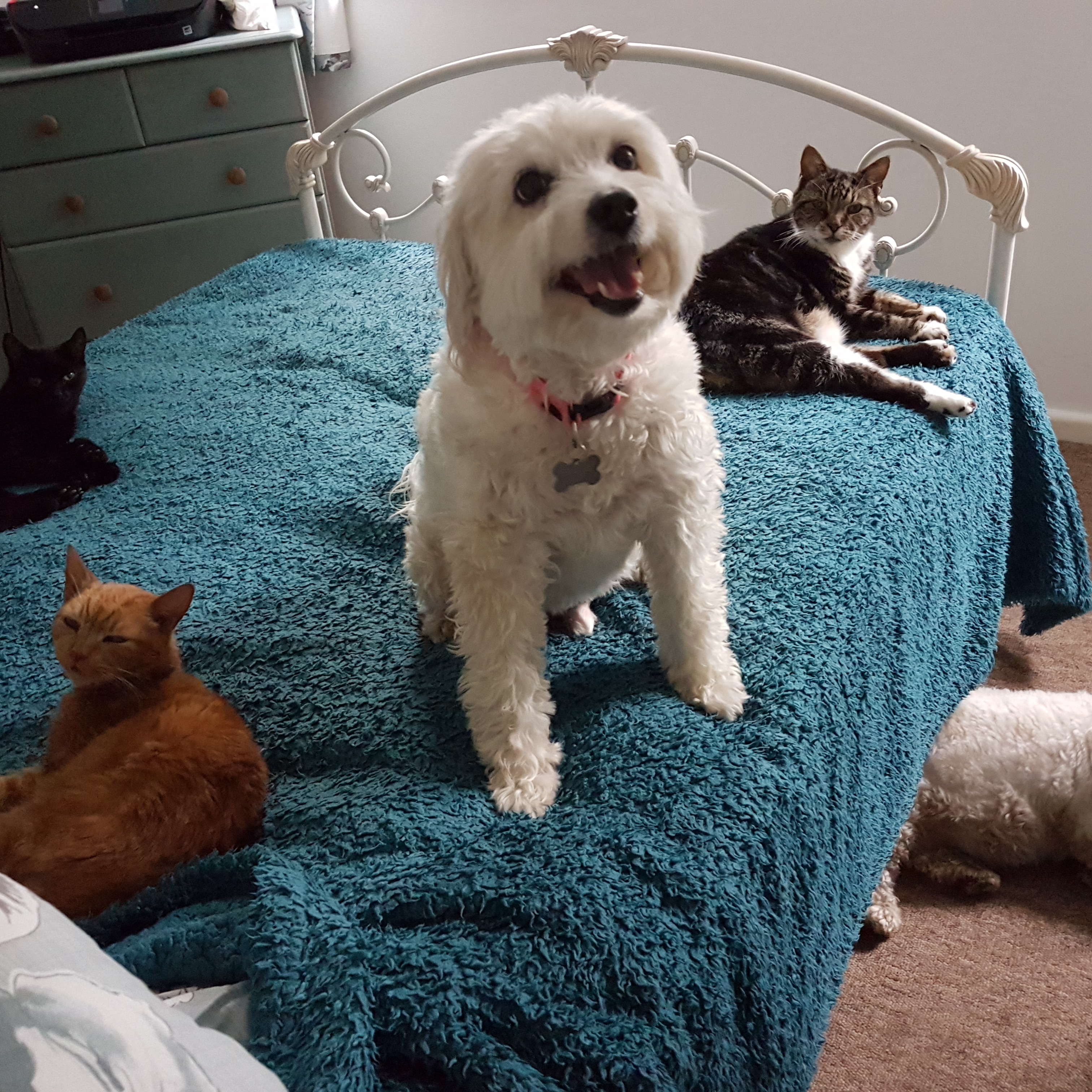 IMG_20180917_181036_936