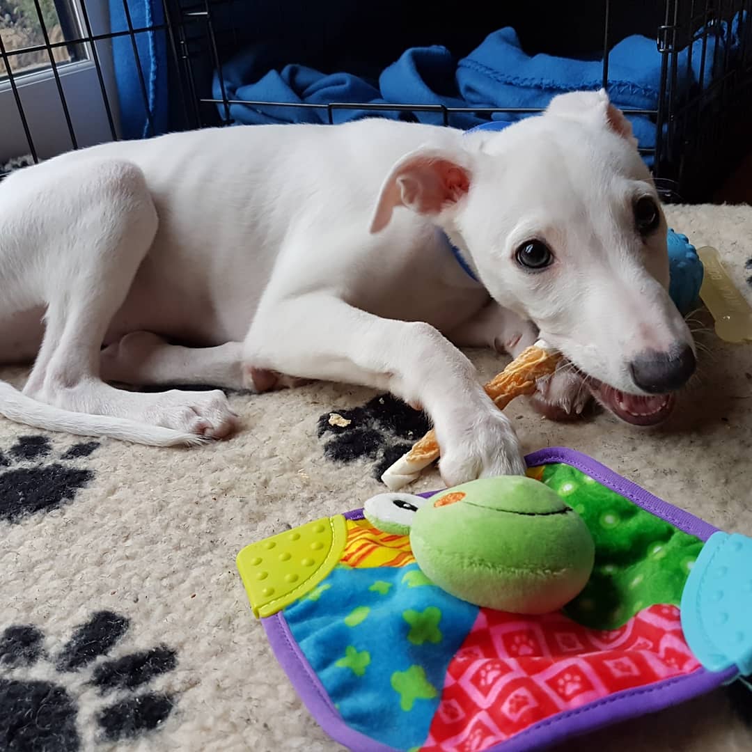 IMG_20181030_172835_295