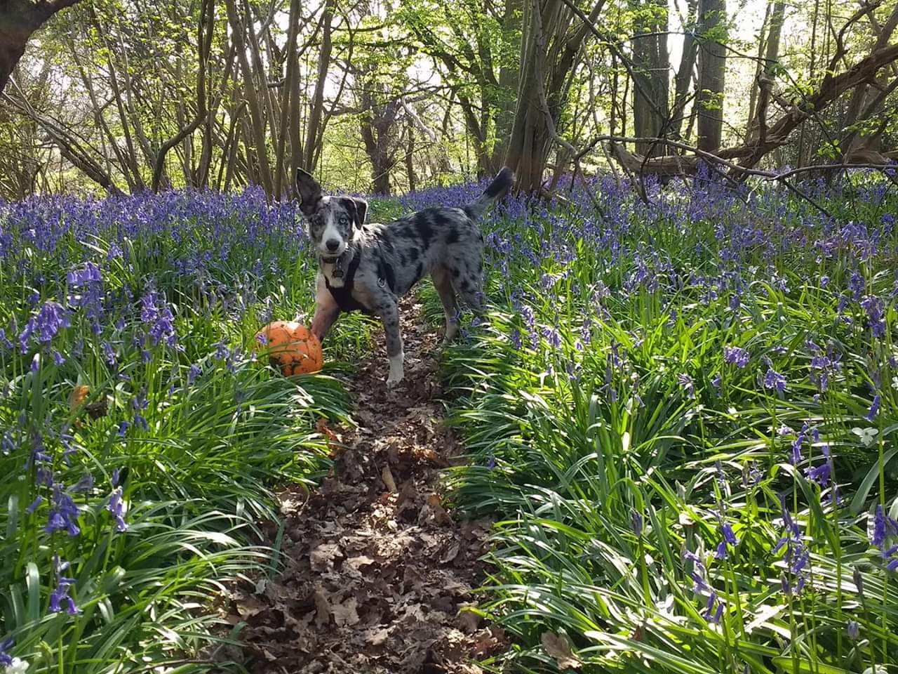 fb_img_1549137836431