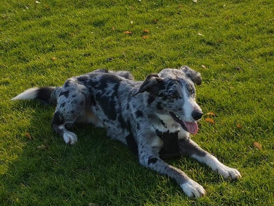 fb_img_1549137864319