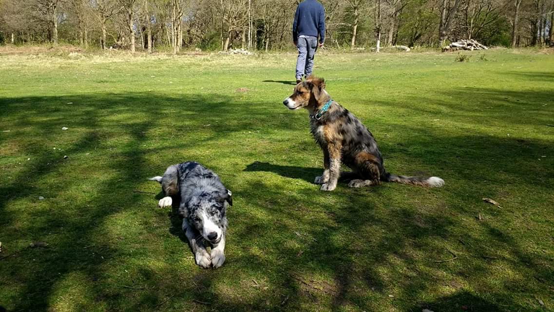 fb_img_1549137884772