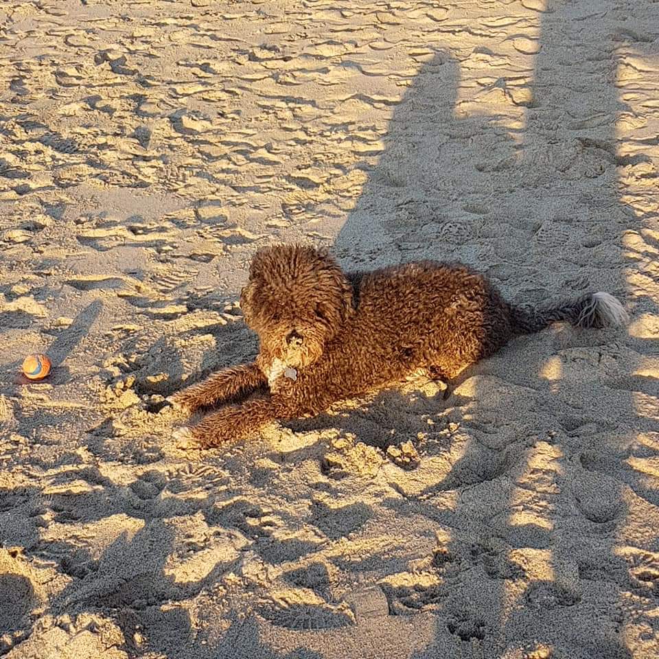 FB_IMG_1553725195931