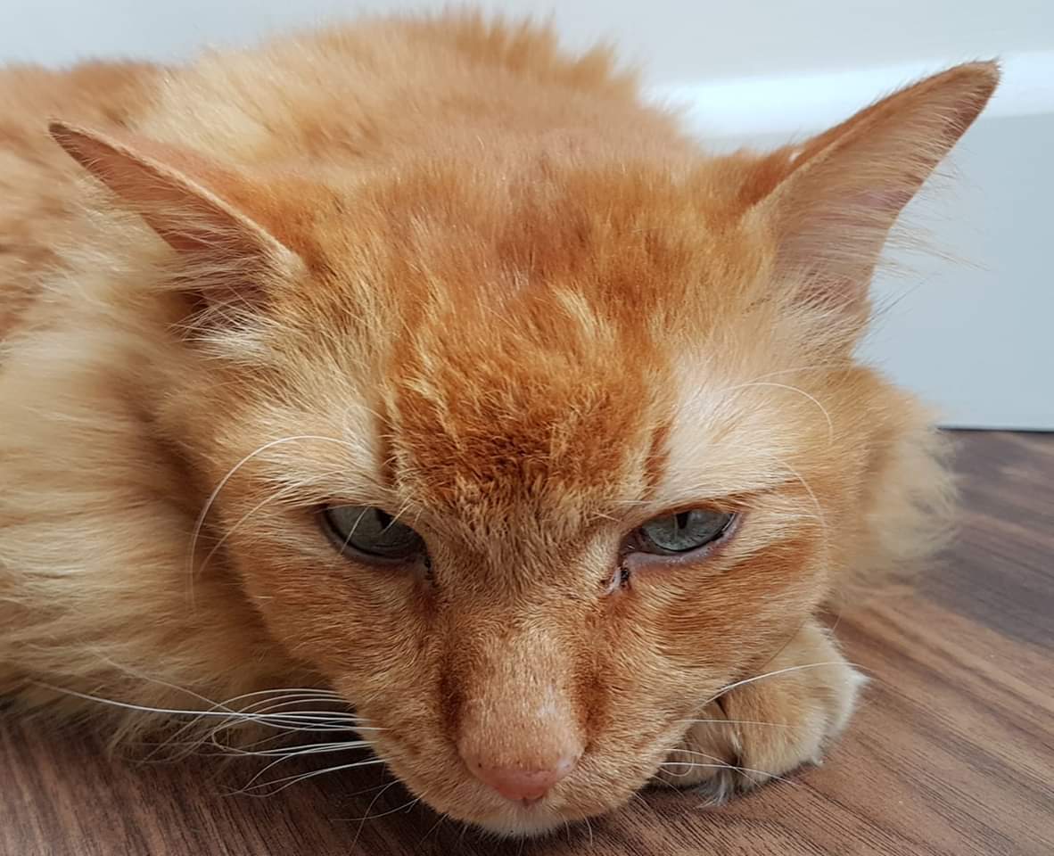 FB_IMG_1555457357320