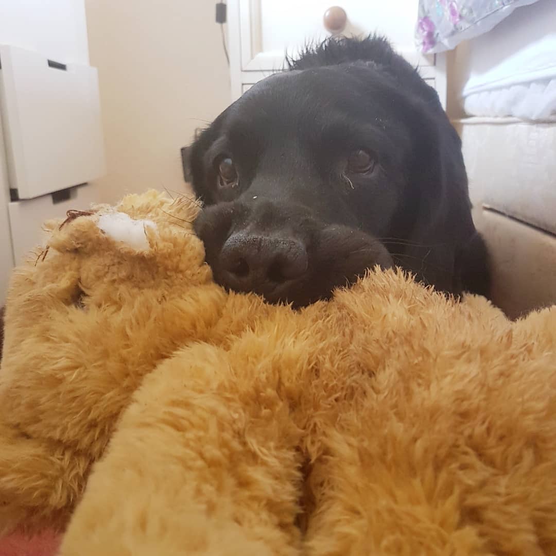 IMG_20190421_150720_999