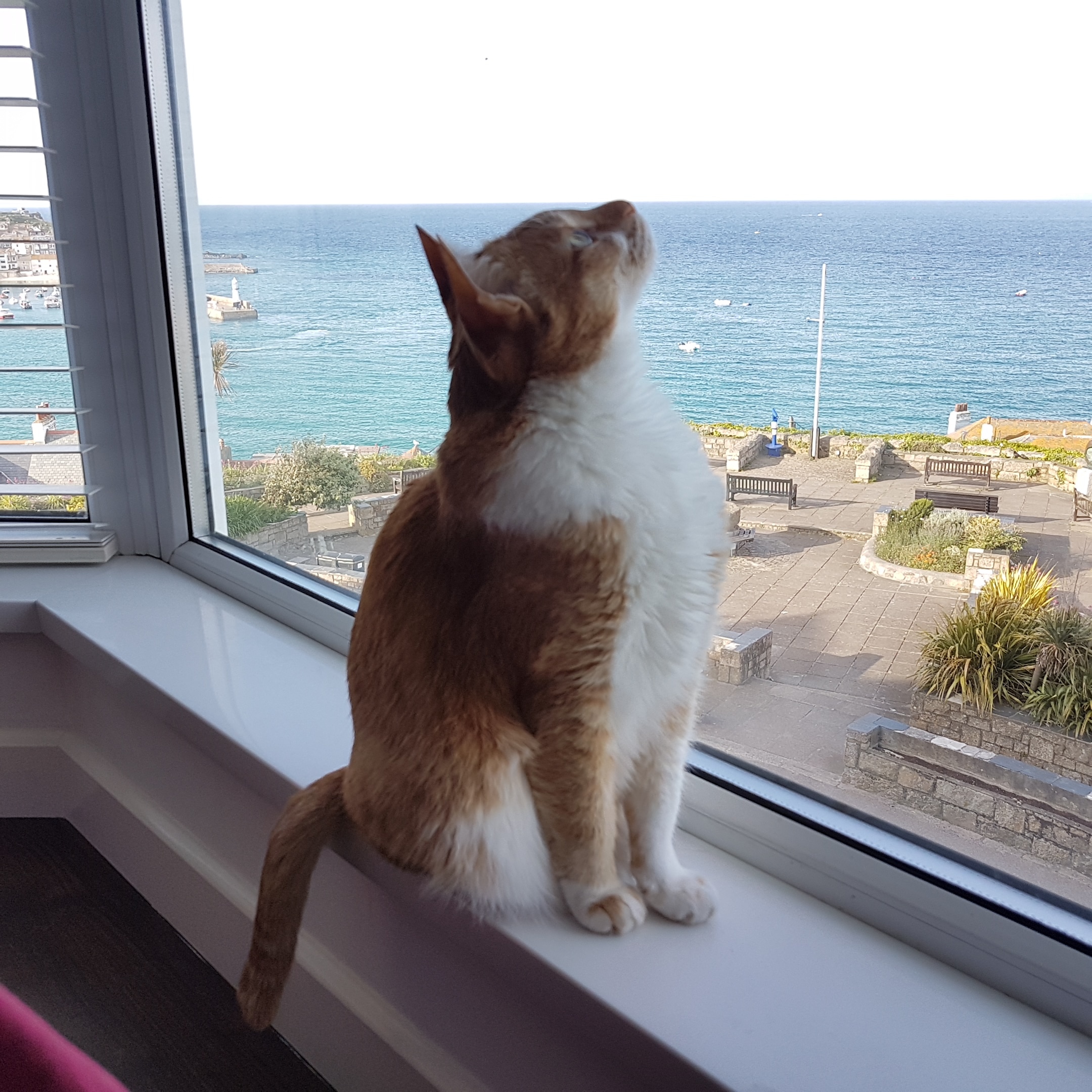 IMG_20190520_191939_553