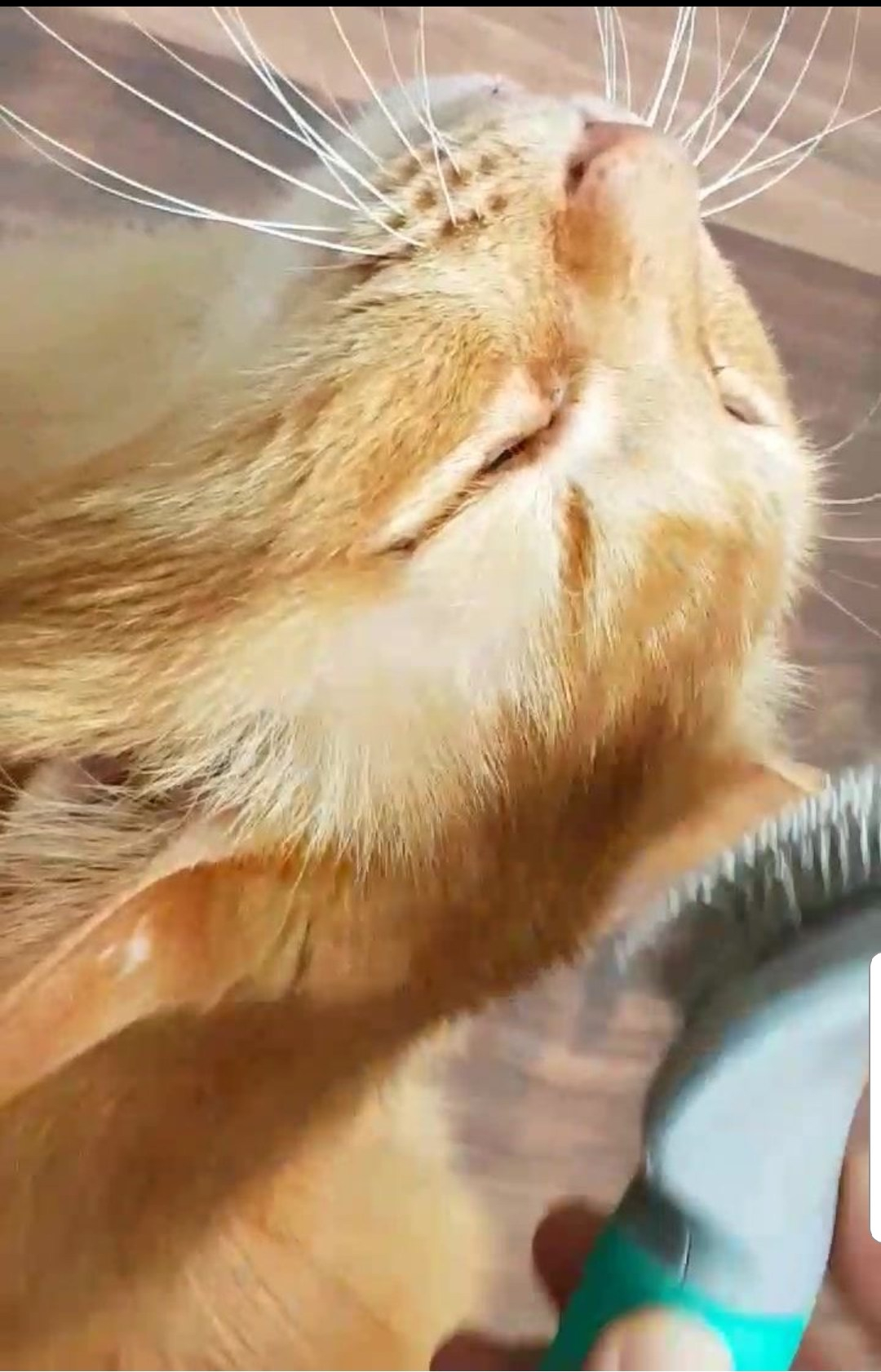 Screenshot_20190525-233320_Facebook