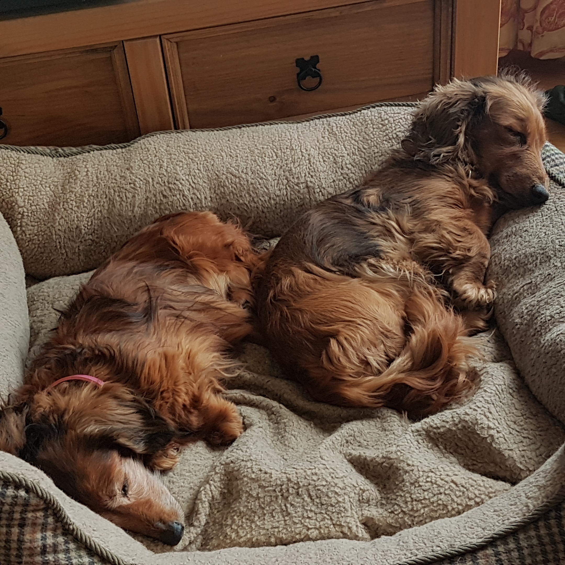 IMG_20190601_143837_576