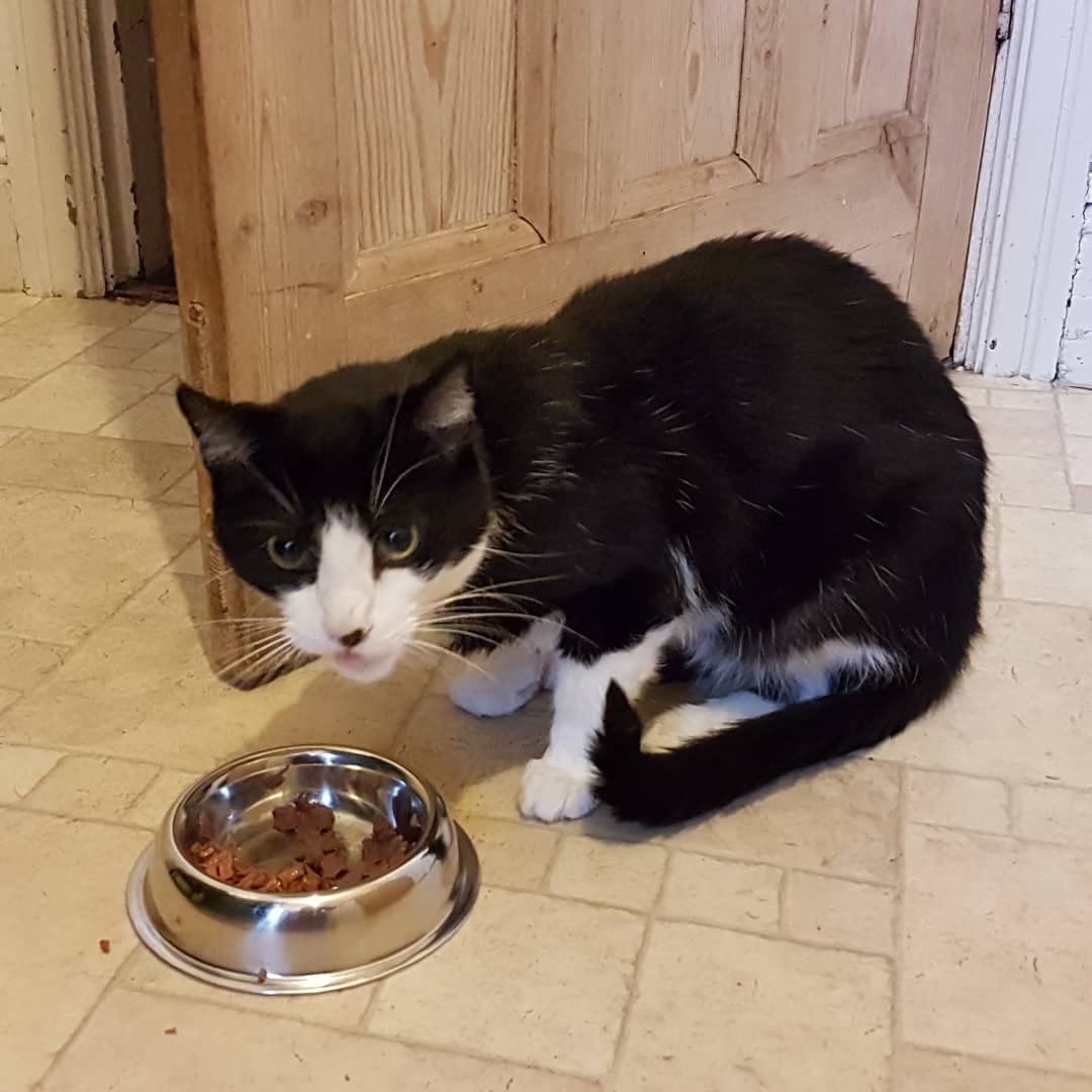 IMG_20190612_201112_422