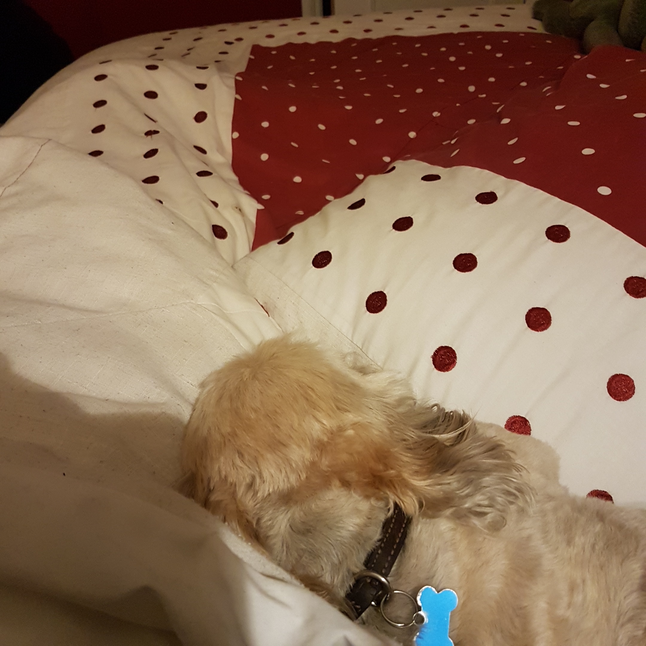 IMG_20190624_002049_623