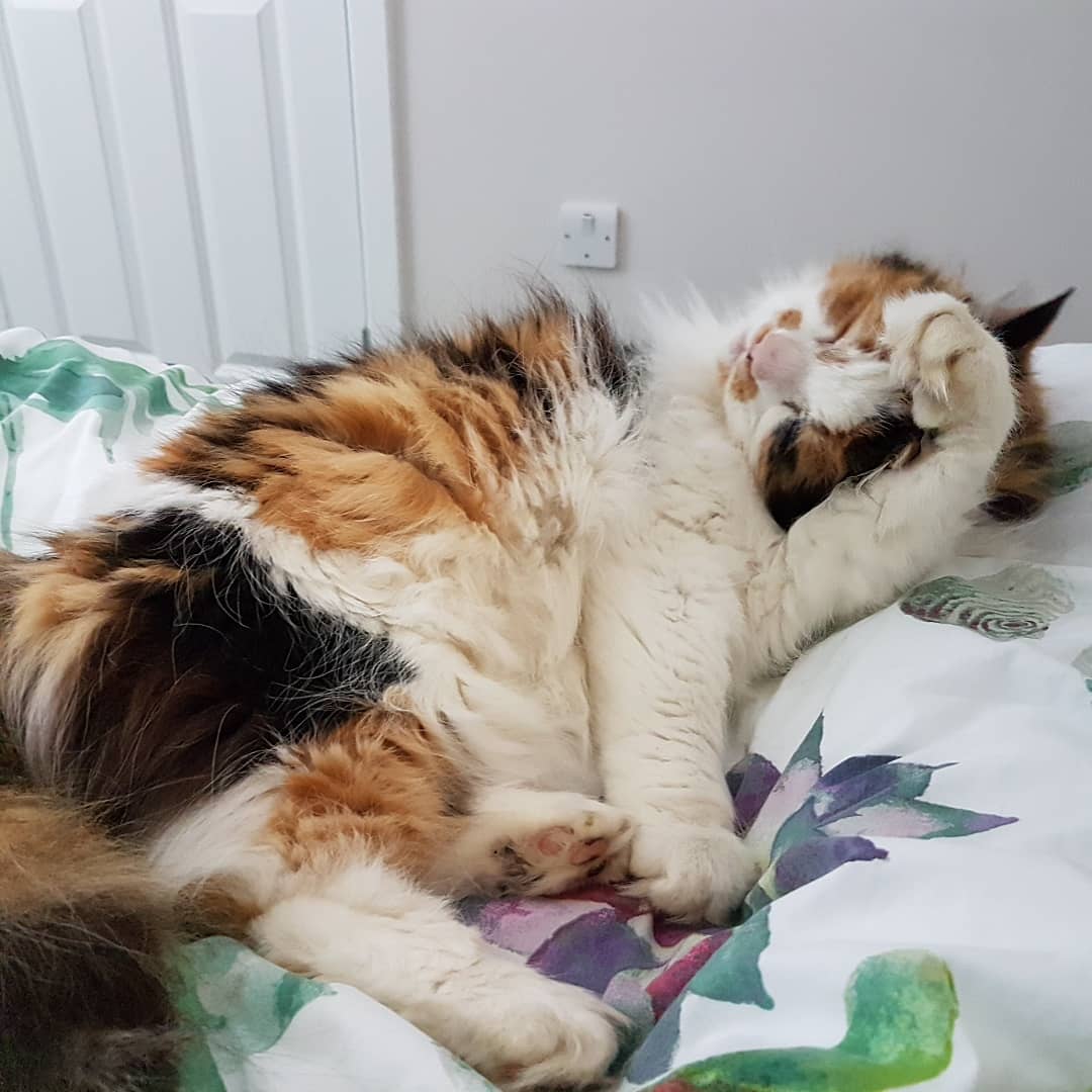 IMG_20190629_170831_878