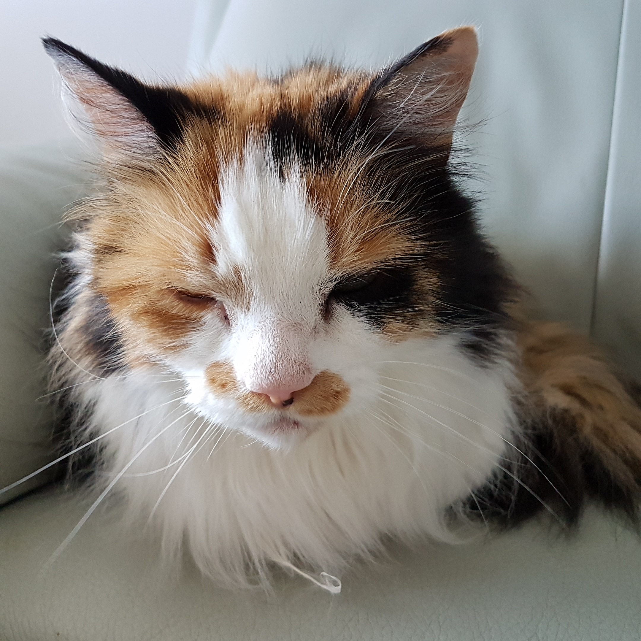 IMG_20190630_132119_466