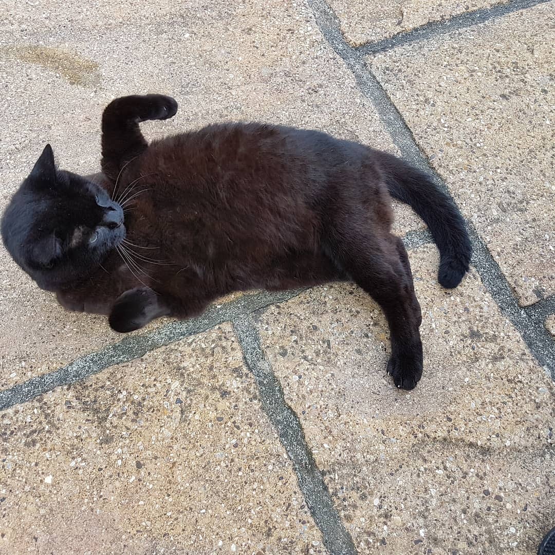 IMG_20190723_185021_112