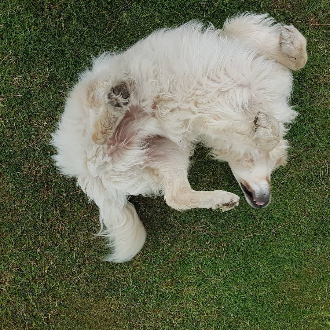 IMG_20190725_122214_574