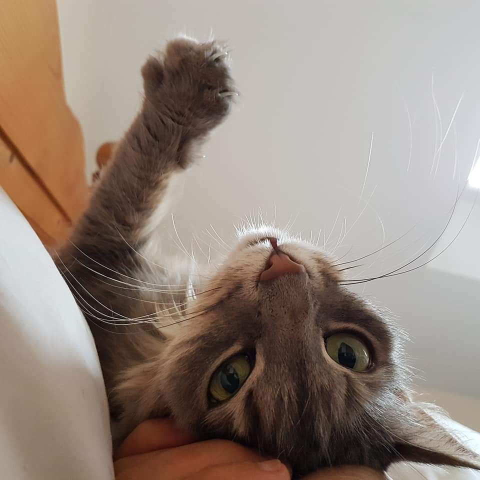 FB_IMG_1564958752737