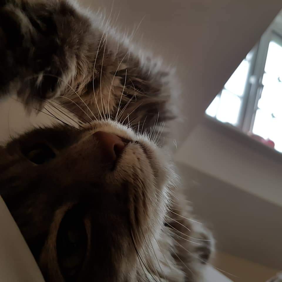 FB_IMG_1564958769901