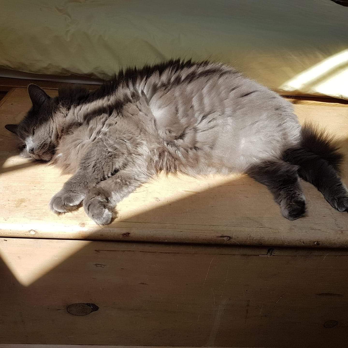 FB_IMG_1564960200976