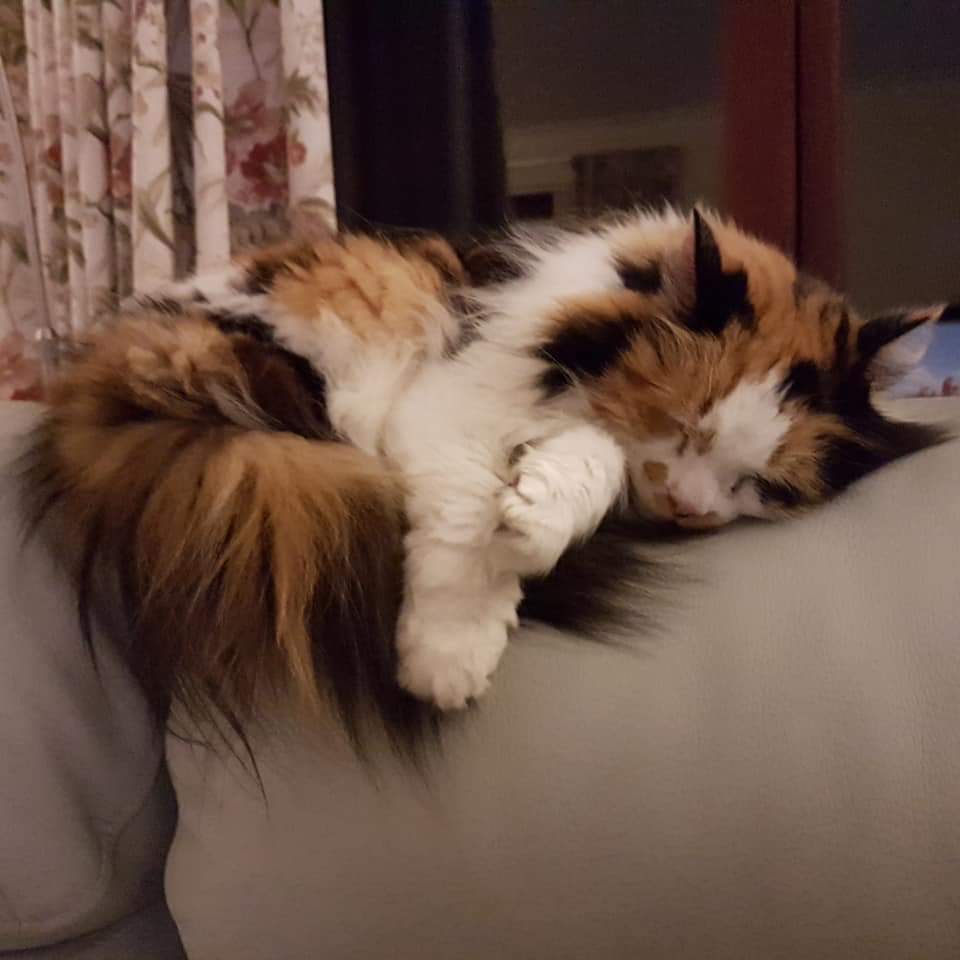 FB_IMG_1566051024769