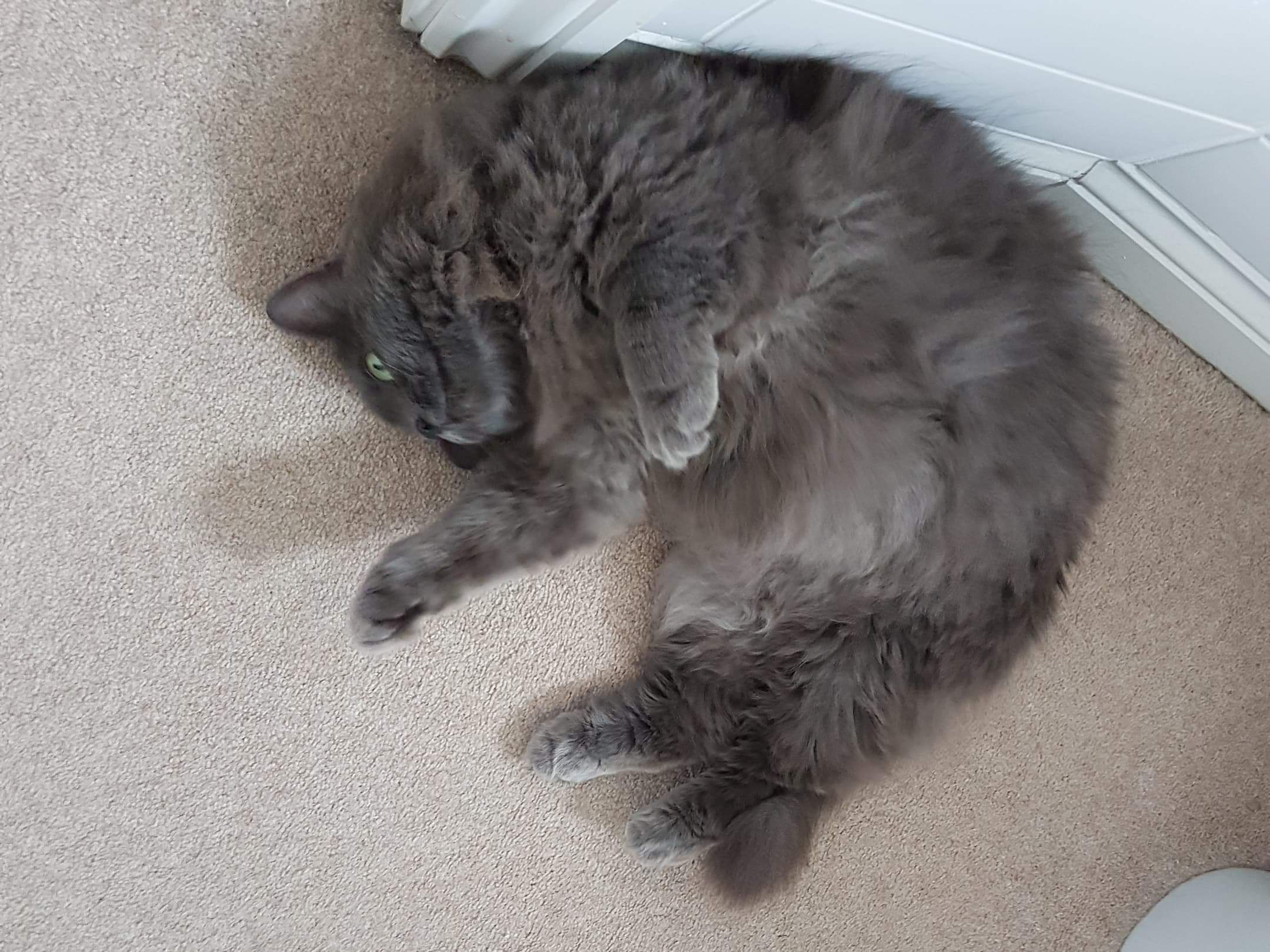 received_417755468844343