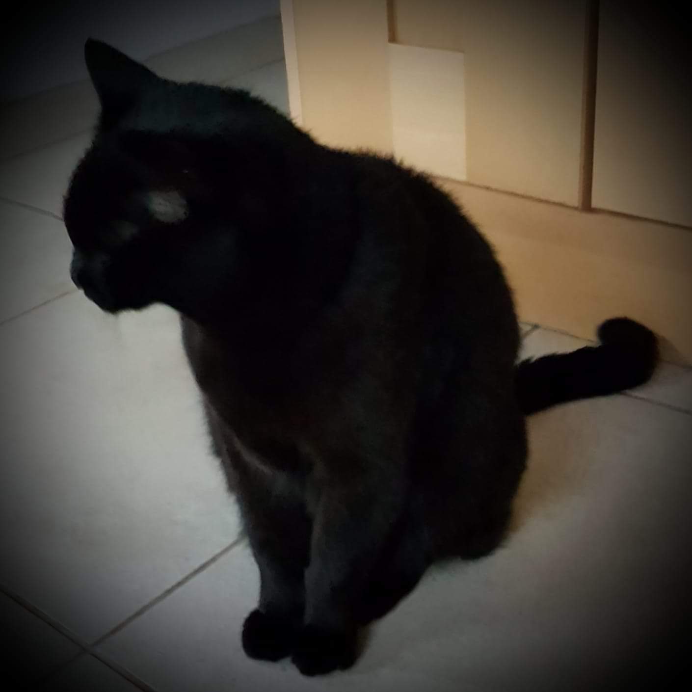 FB_IMG_1568729607038