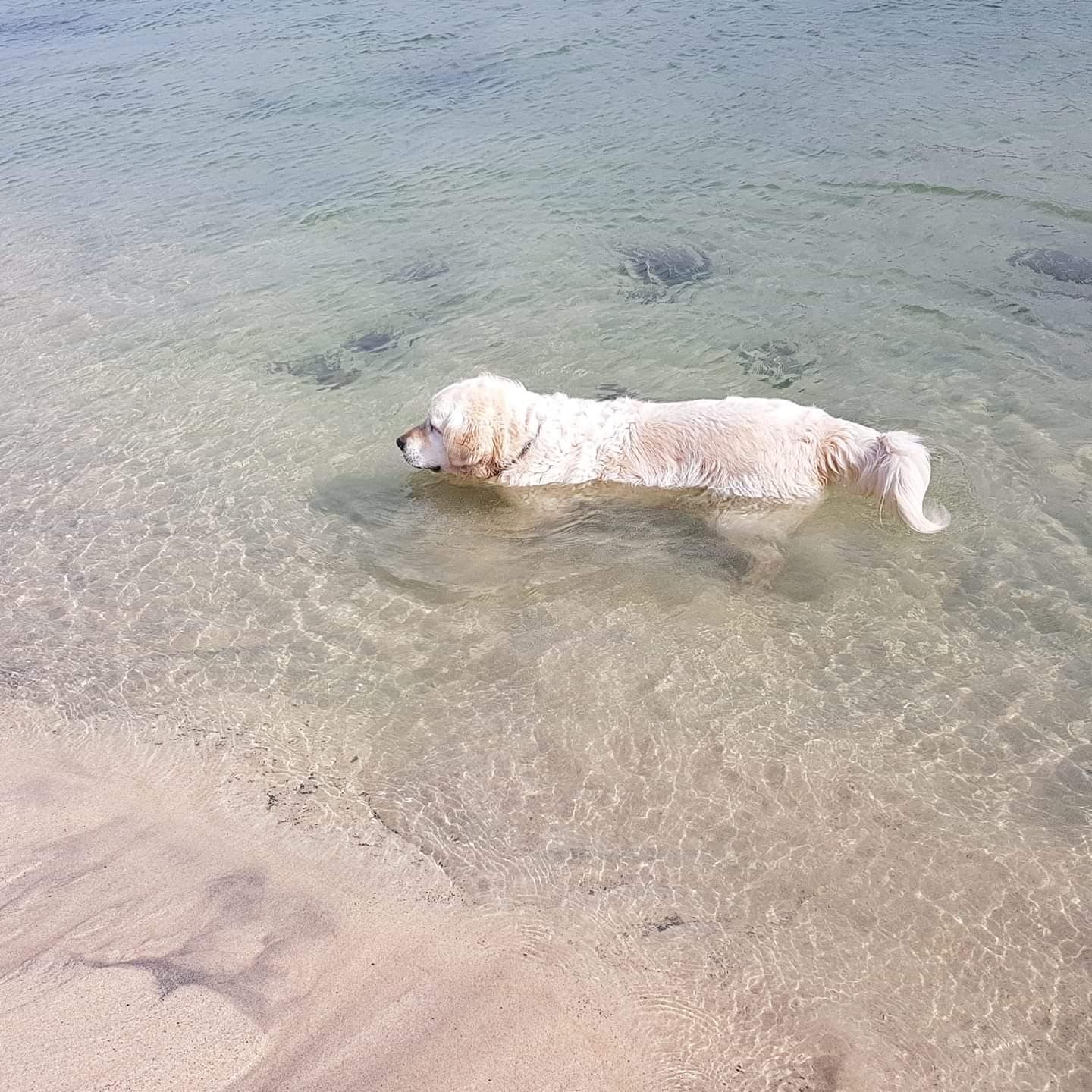 FB_IMG_1568729621884