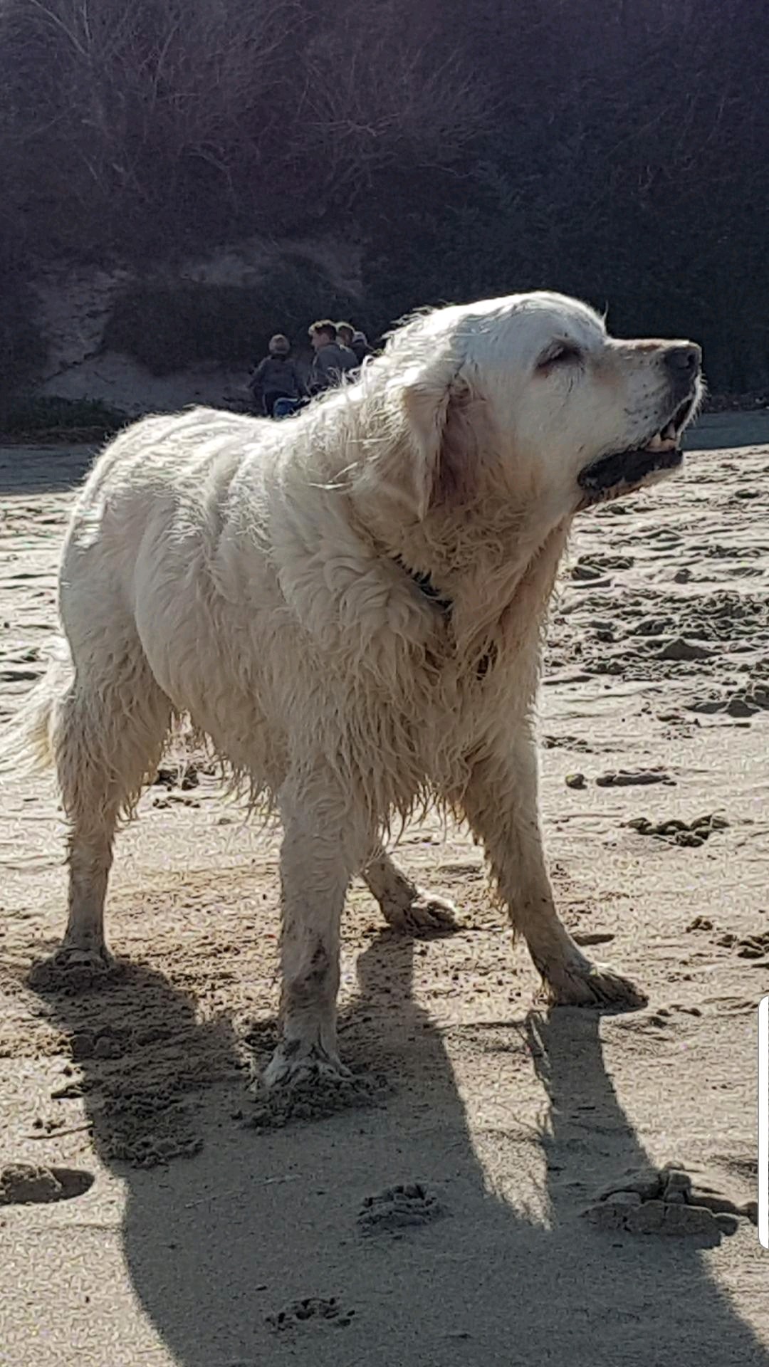 image_f73f9154-d68e-4a1e-aaee-fc2cd61f8e6b20190929_174843