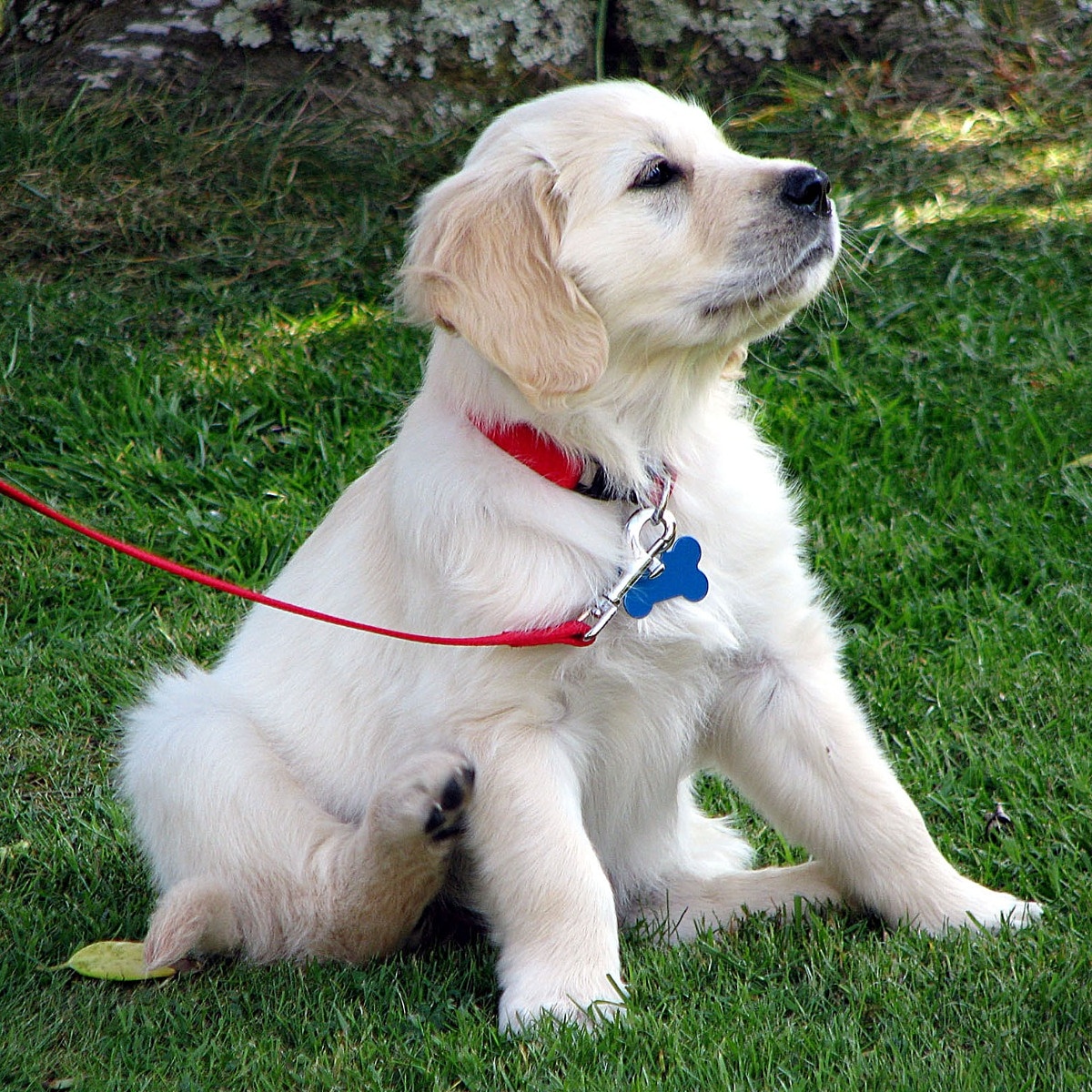 IMG_20190910_121943_459