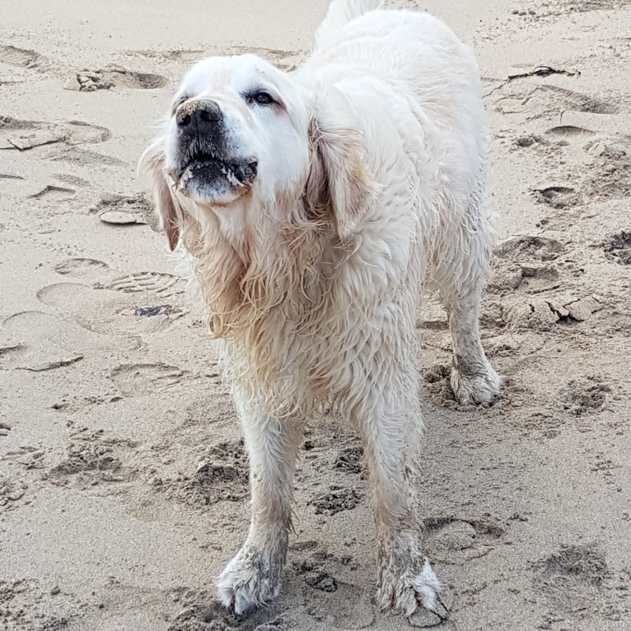 IMG_20190917_131916_834