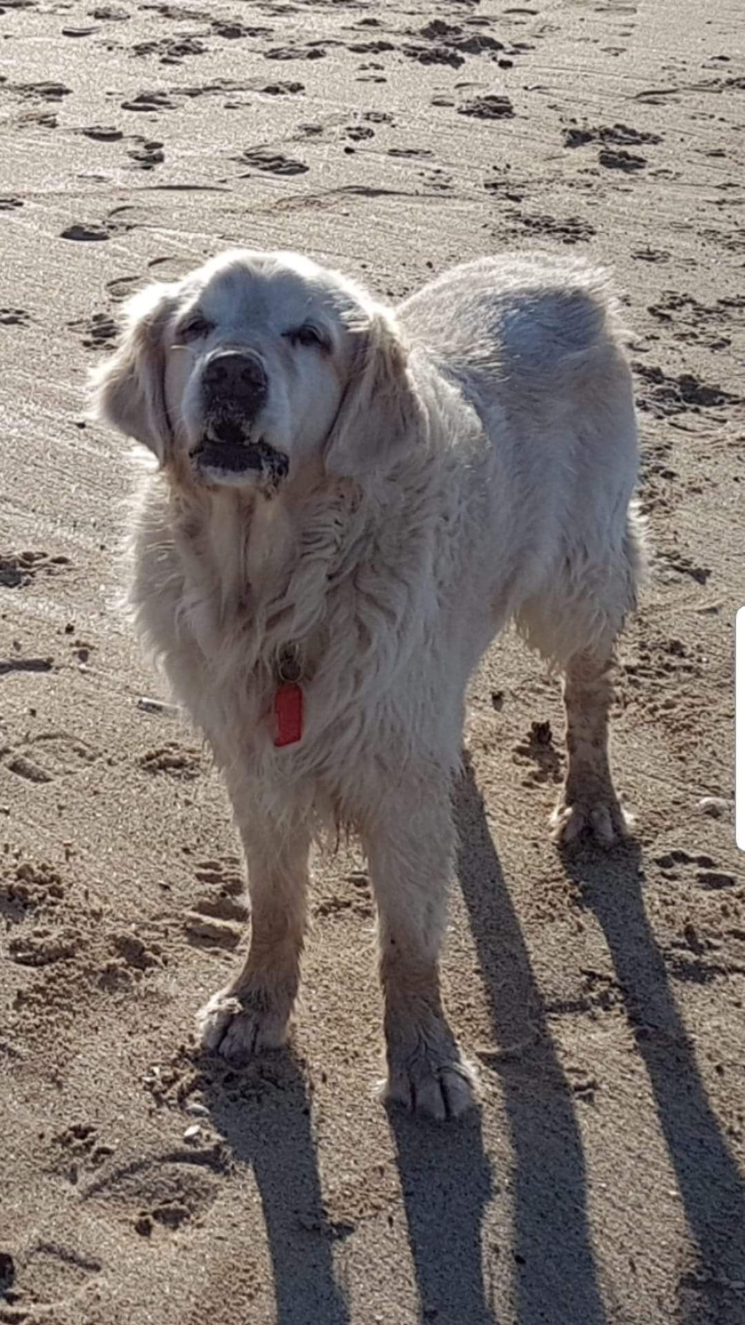 FB_IMG_1583756571403