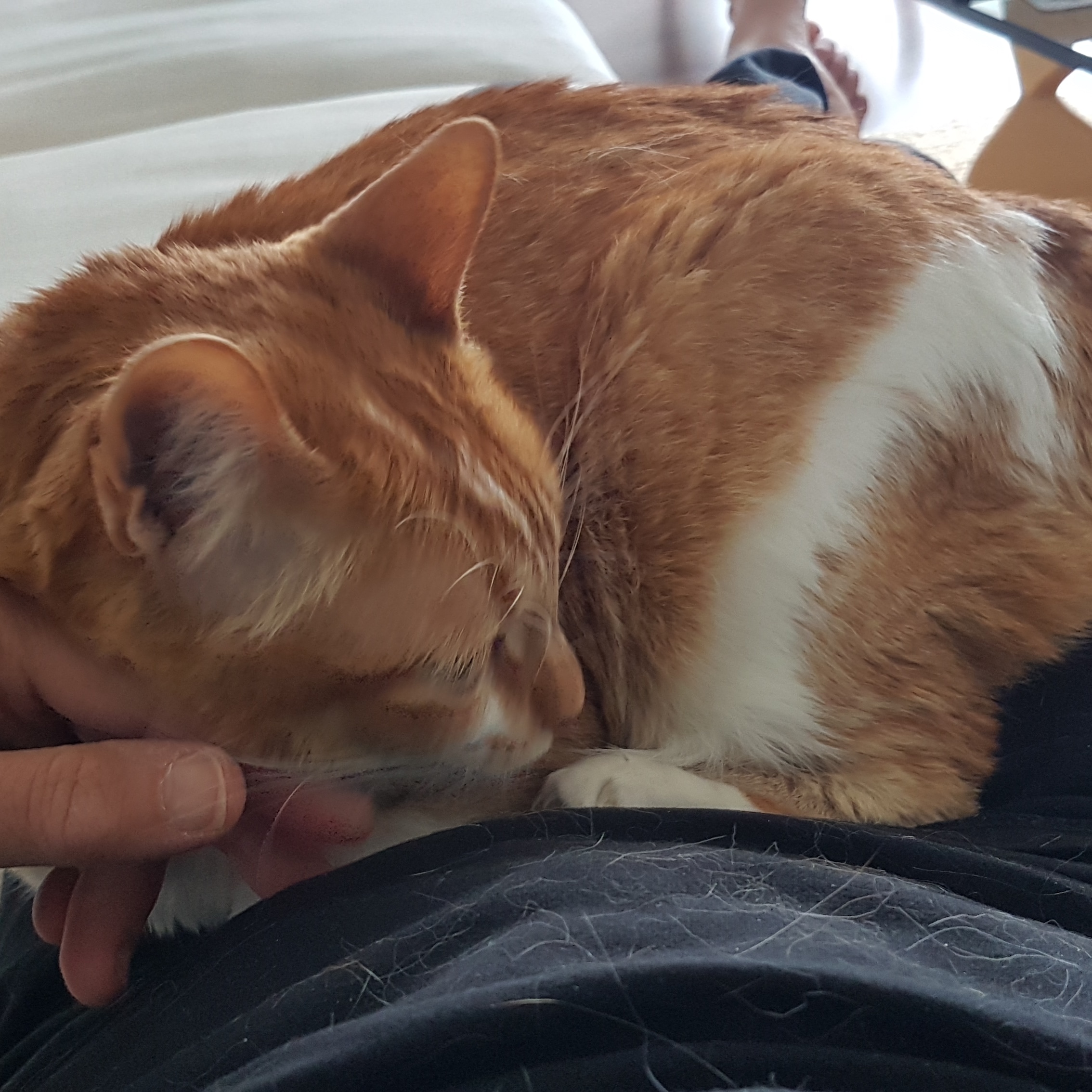 img_20201213_122532_933-1